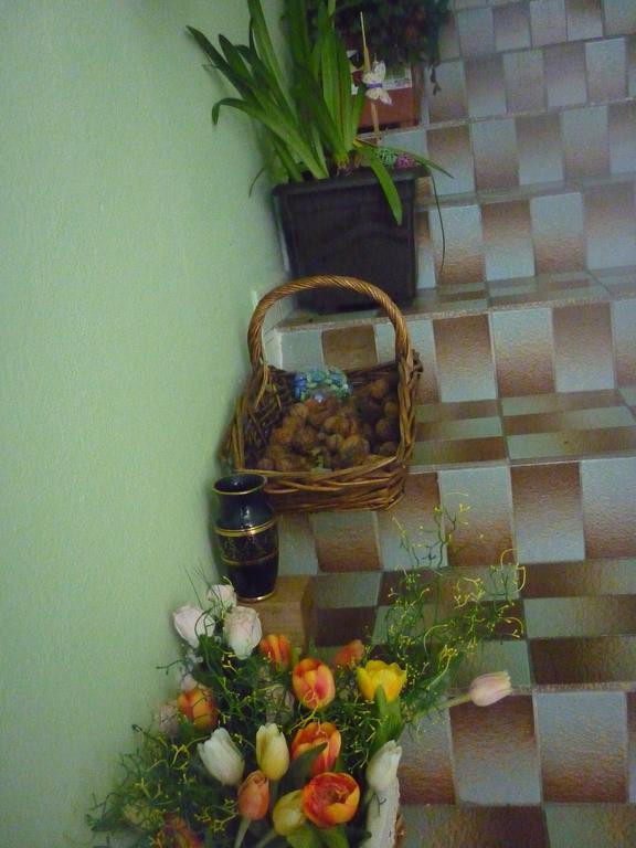 شقة Břeclav  في Milanna المظهر الخارجي الصورة